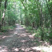 Review photo of Rock Cut State Park - Staghorn Campground by Leah H., October 1, 2016