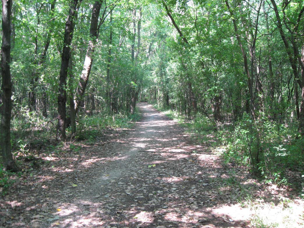 Camper submitted image from Rock Cut State Park - Staghorn Campground - 4