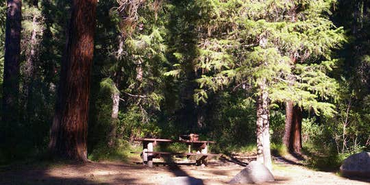 Camper submitted image from Park Creek (idaho)