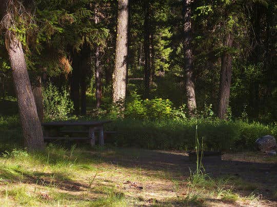 Camper-submitted photo at Park Creek (idaho) near Lowman, ID