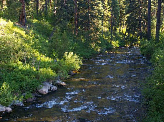 Camper-submitted photo at Park Creek (idaho) near Lowman, ID