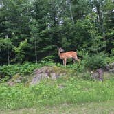 Review photo of Voyageurs National Park Backcountry Camping — Voyageurs National Park by Eric K., October 1, 2016