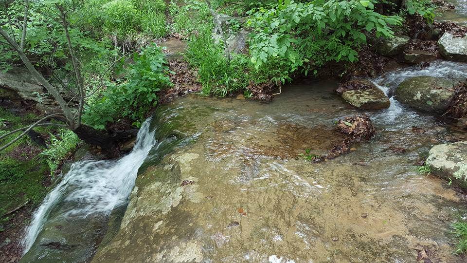 Water