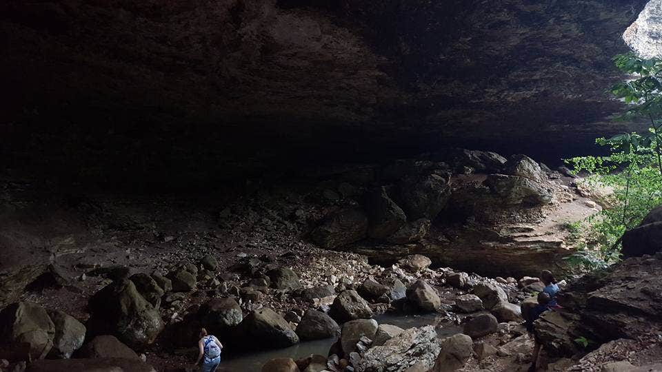 Camper submitted image from Hasty Takeout — Buffalo National River - 4