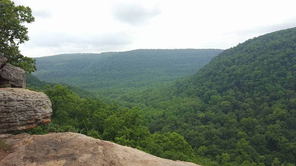 Camper submitted image from Hasty Takeout — Buffalo National River - 2