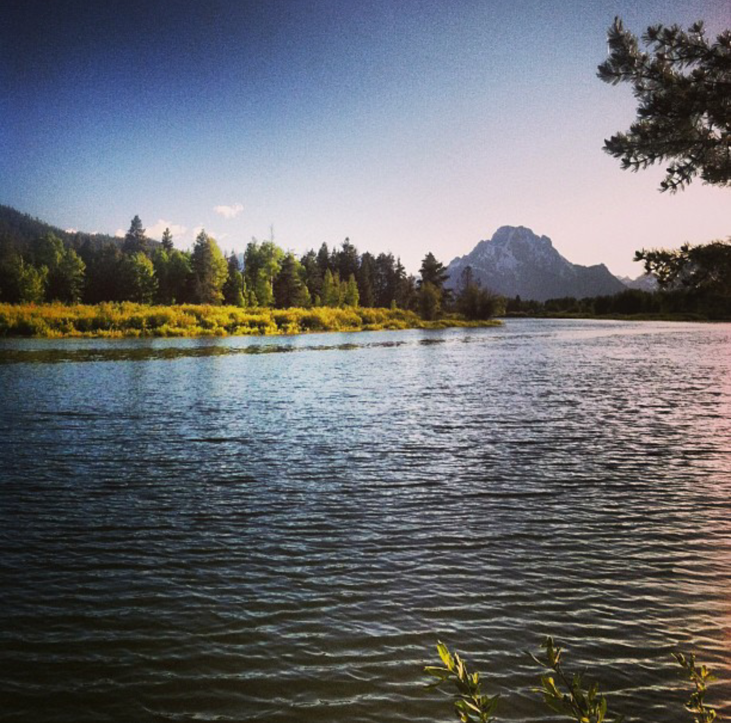 Camper submitted image from Jenny Lake Campground — Grand Teton National Park - 3
