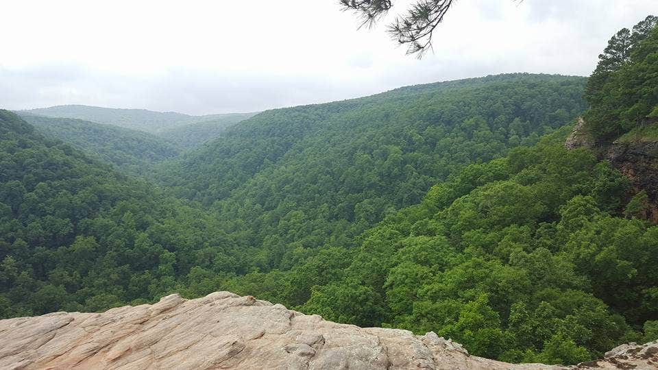 Camper-submitted photo at Hasty Takeout — Buffalo National River near Buffalo National River