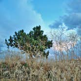 Review photo of Rabbit Valley — Mc Innis Canyons National Conservation Area by Leah W., October 1, 2016