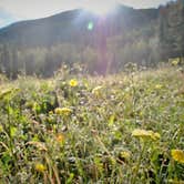 Review photo of Priest Lake Dispersed Camping Area by Leah W., October 1, 2016