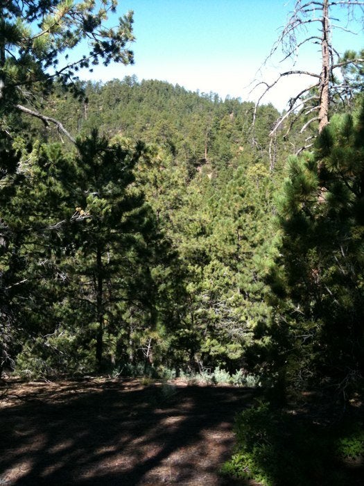 Camper submitted image from Black Canyon Campground - 2