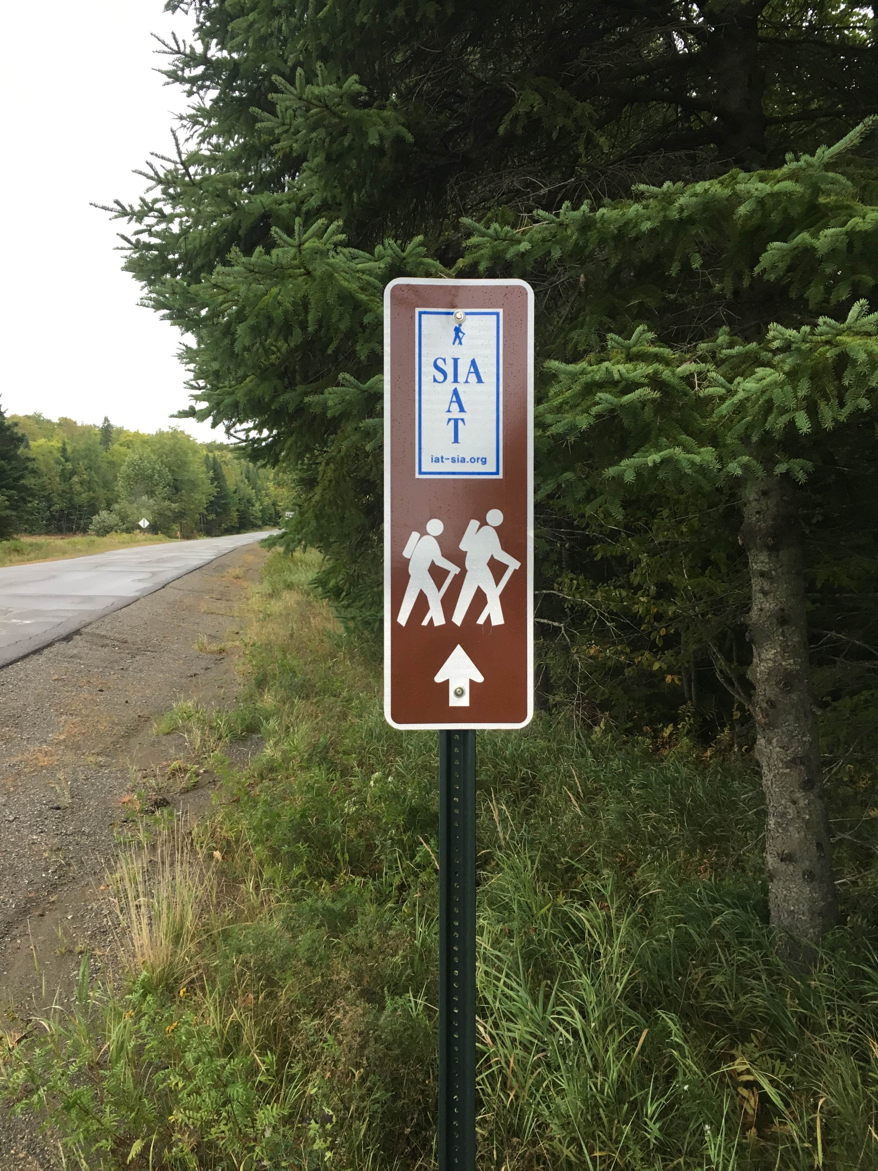 Camper submitted image from Shin Pond Village Campground - 2