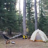 Review photo of Mazama Village Campground — Crater Lake National Park by Ryan D., October 1, 2016