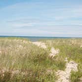 Review photo of Kohler-Andrae State Park by Sarah C., October 2, 2016