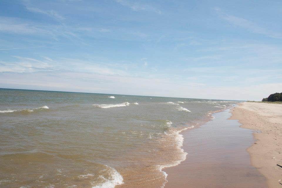 Camper submitted image from Kohler-Andrae State Park - 4