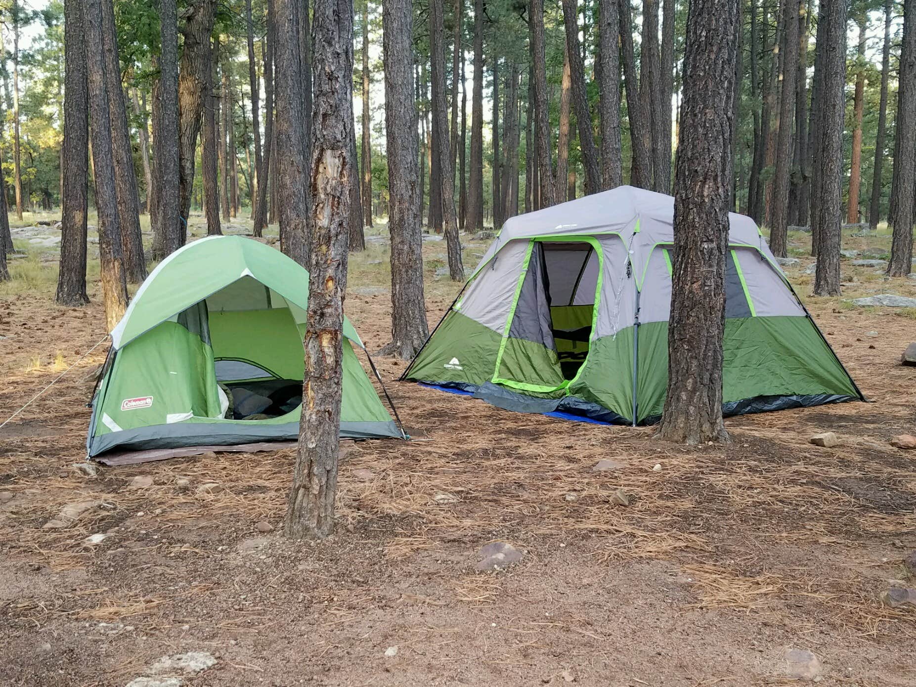 Camper submitted image from Aspen Campground - 4
