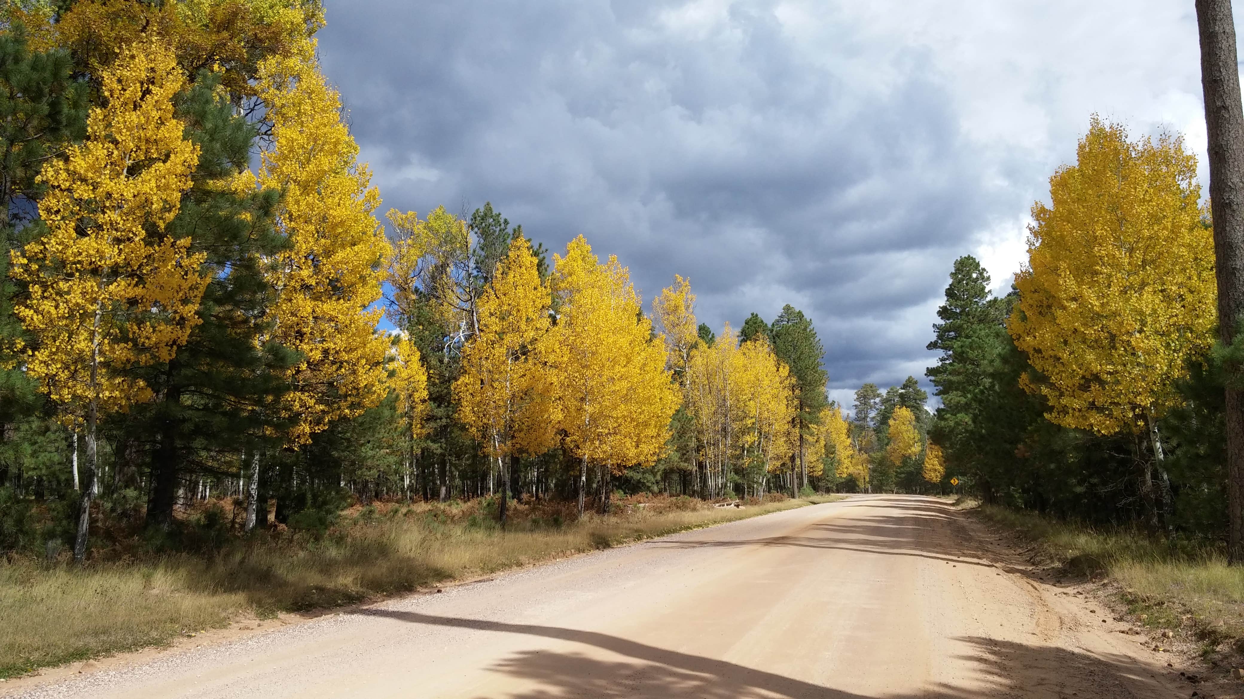 Camper submitted image from Aspen Campground - 4