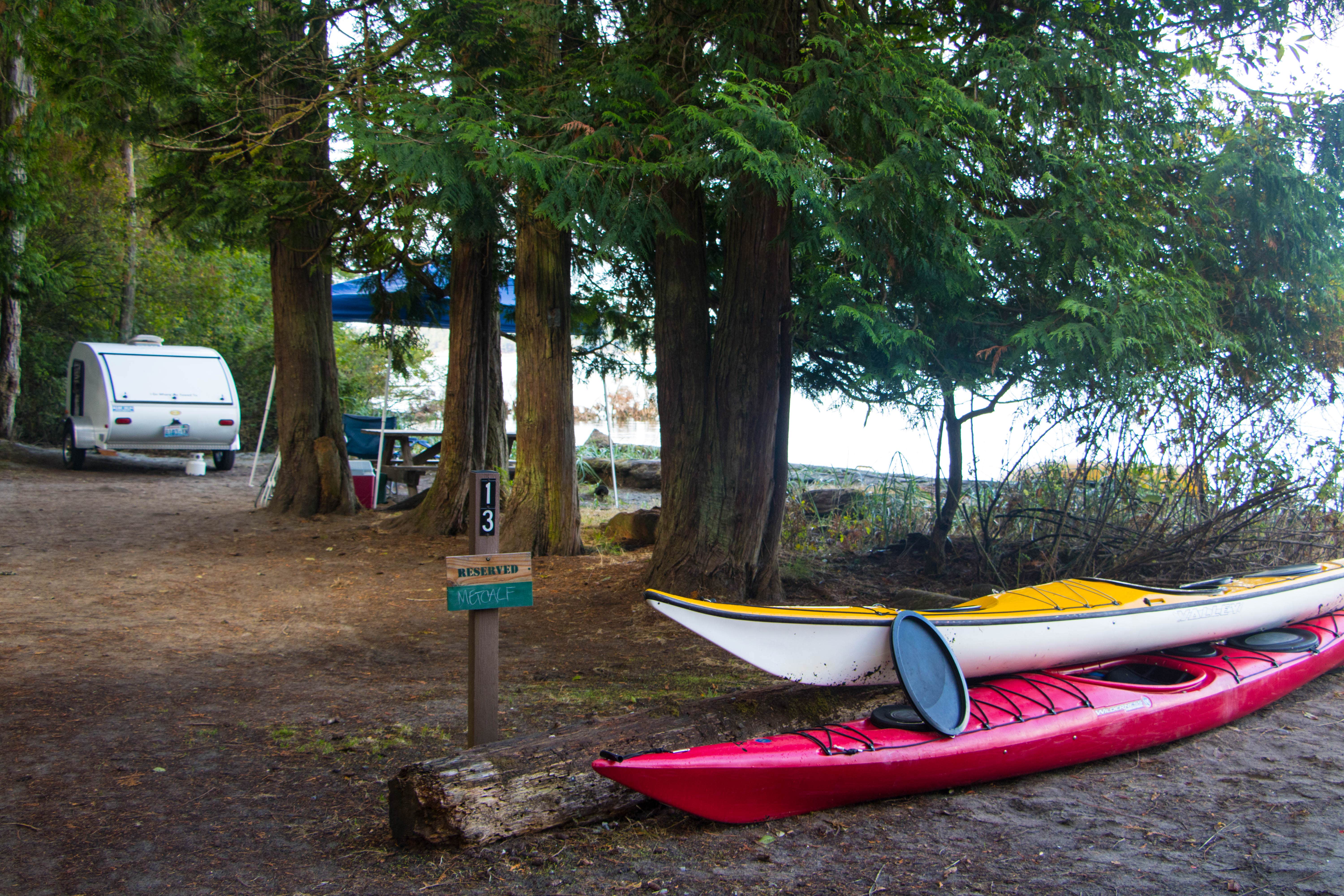 Camper submitted image from Odlin County Park Camping - Lopez Island - 5