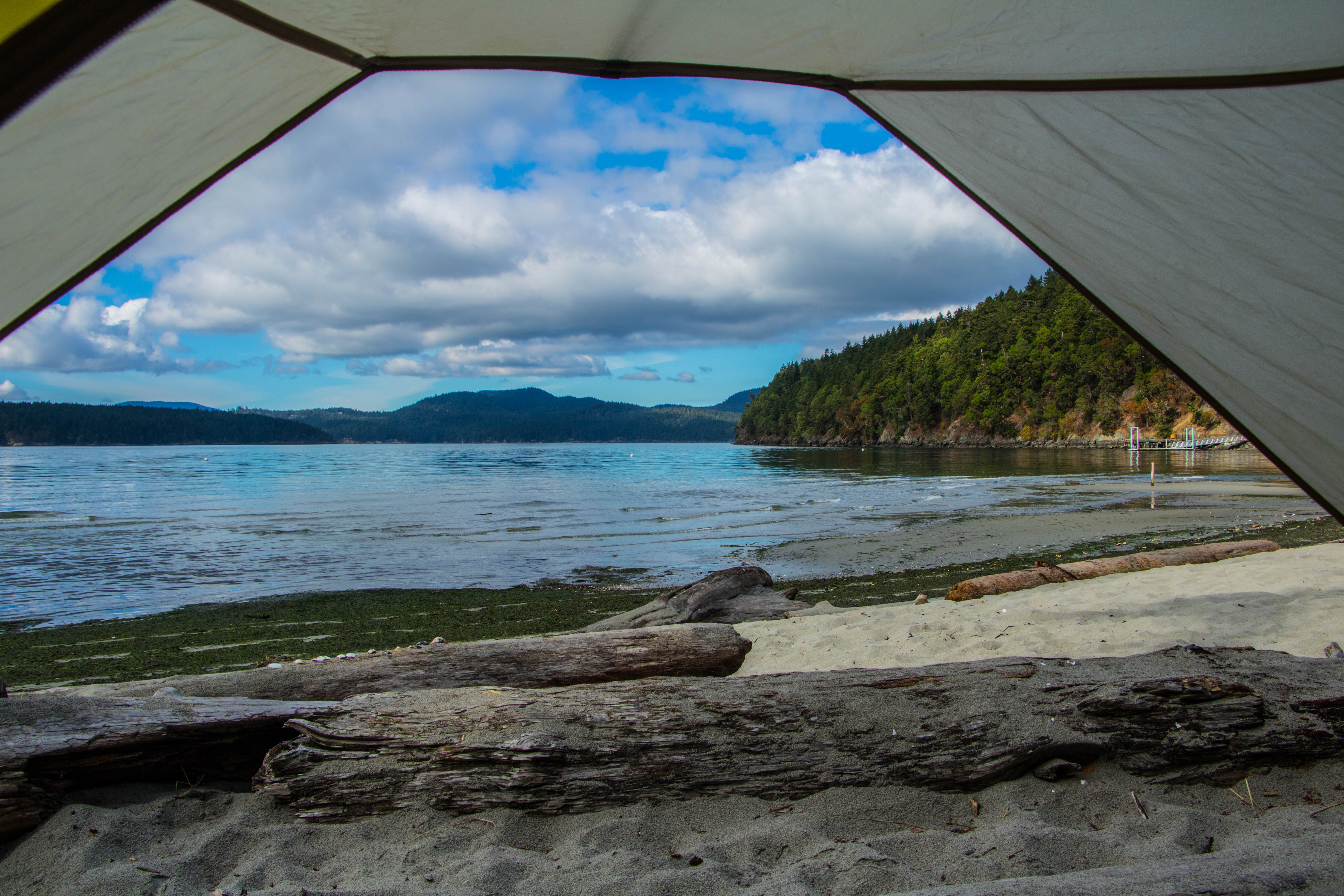 Camper submitted image from Odlin County Park Camping - Lopez Island - 3