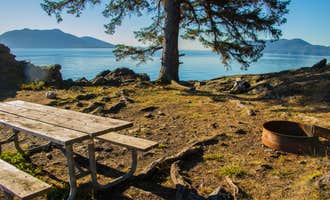 Camping near Northend Campground — Moran State Park: Doe Island Marine State Park Campground, Olga, Washington