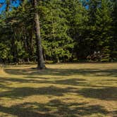 Review photo of Jones Island Marine State Park Campground by Shari  G., October 4, 2016
