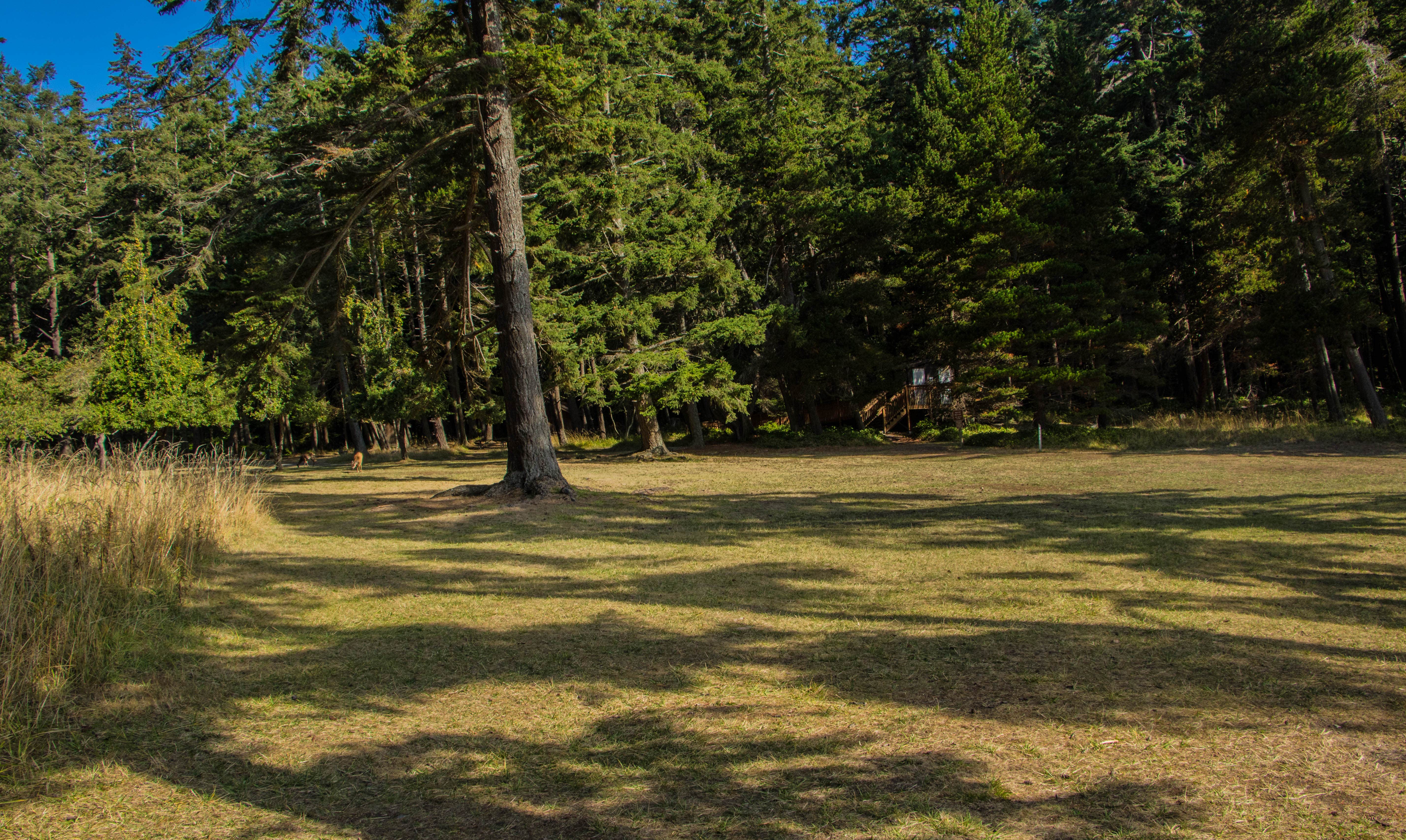 Camper submitted image from Jones Island Marine State Park Campground - 2