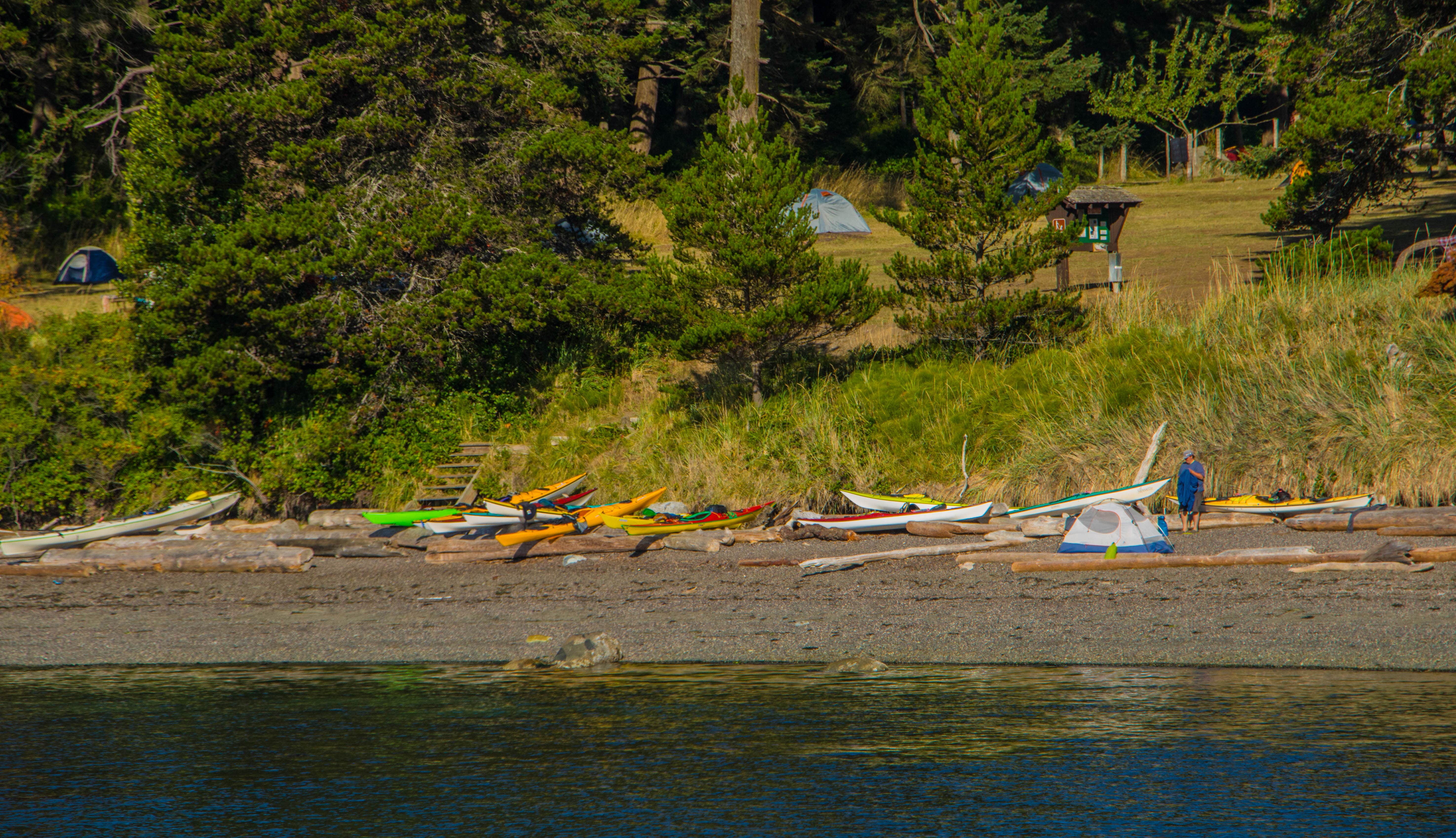 Camper submitted image from Jones Island Marine State Park Campground - 4