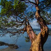 Review photo of Jones Island Marine State Park Campground by Shari  G., October 4, 2016