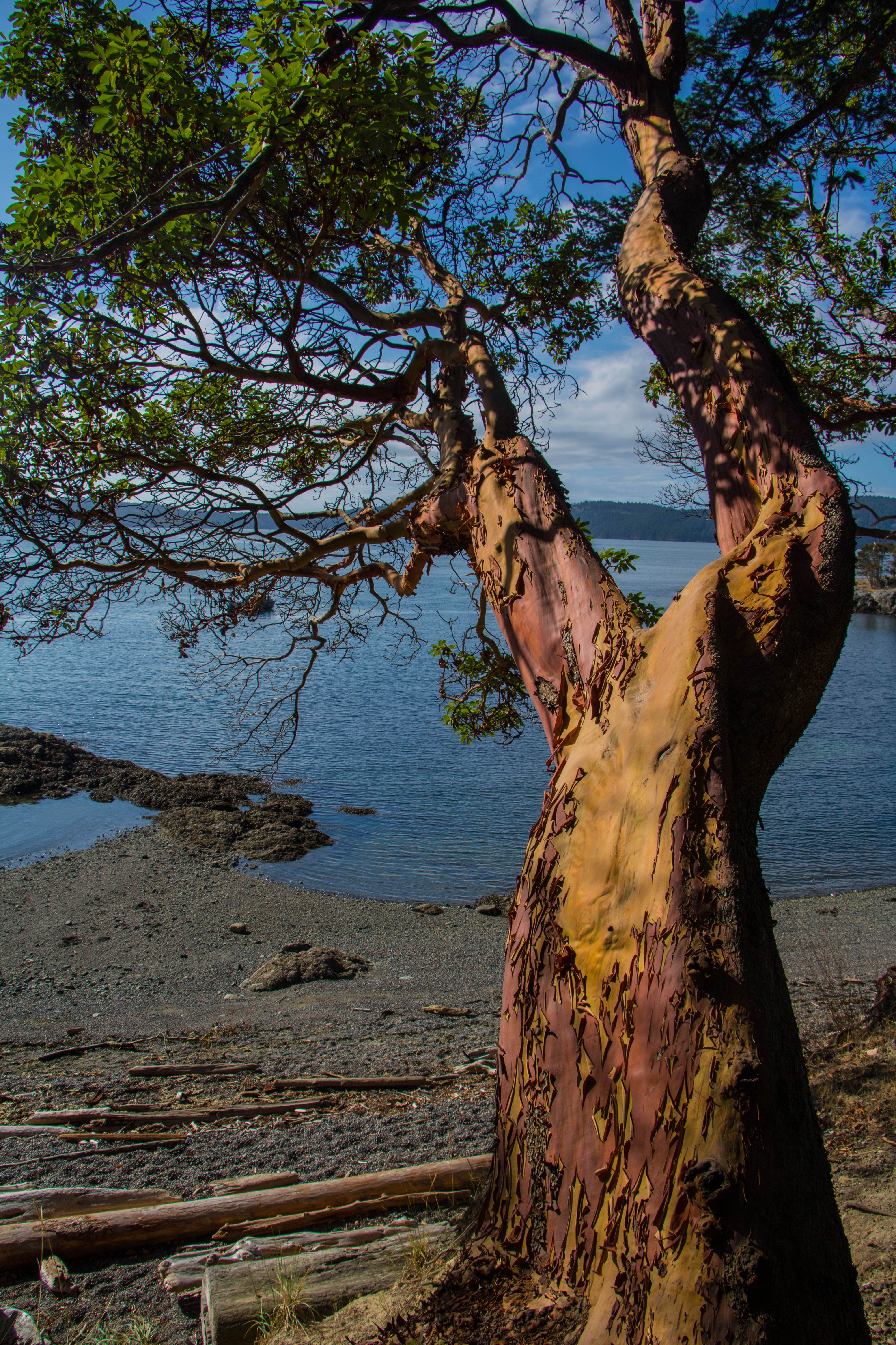 Camper submitted image from Jones Island Marine State Park Campground - 3