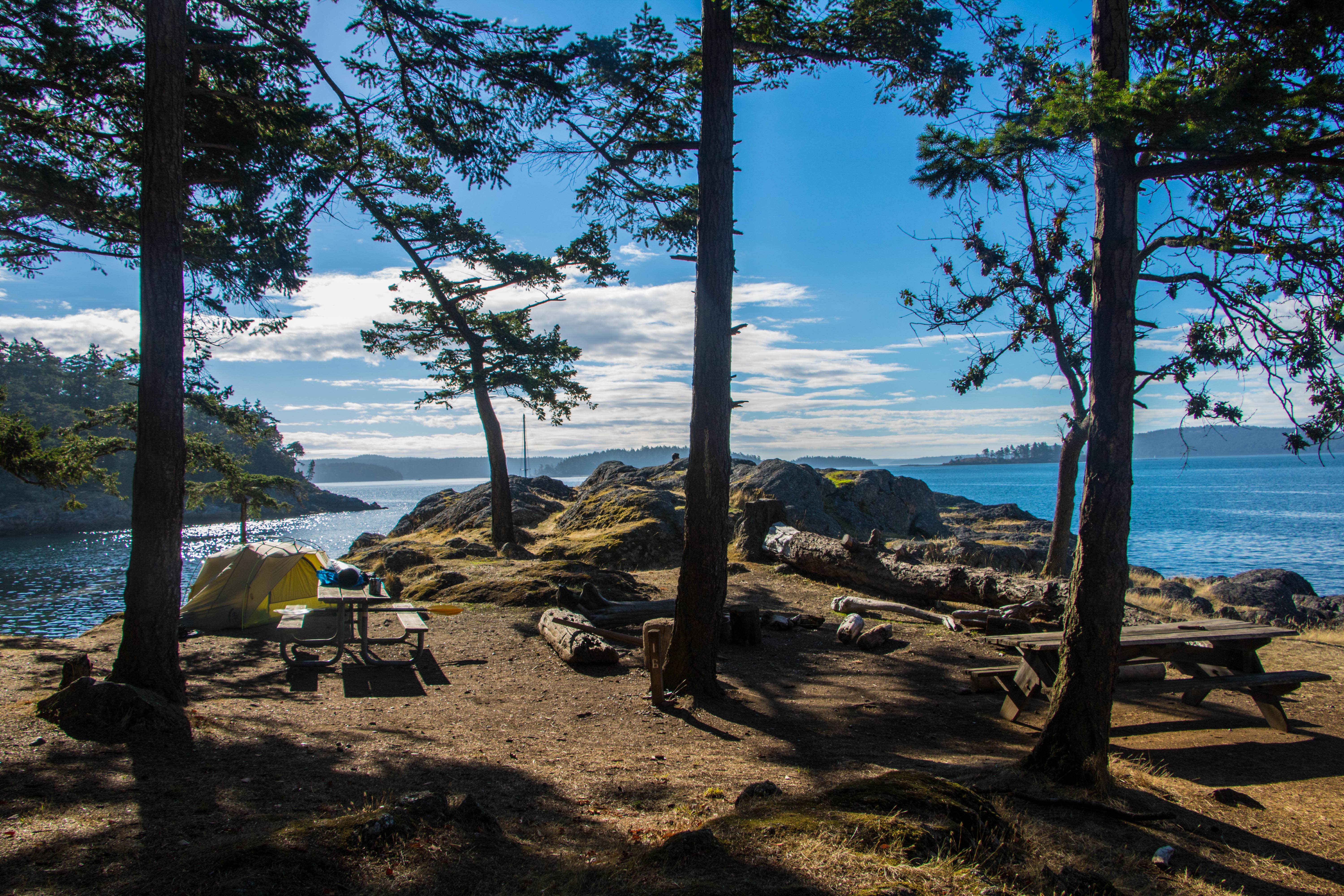 Camper submitted image from Jones Island Marine State Park Campground - 5