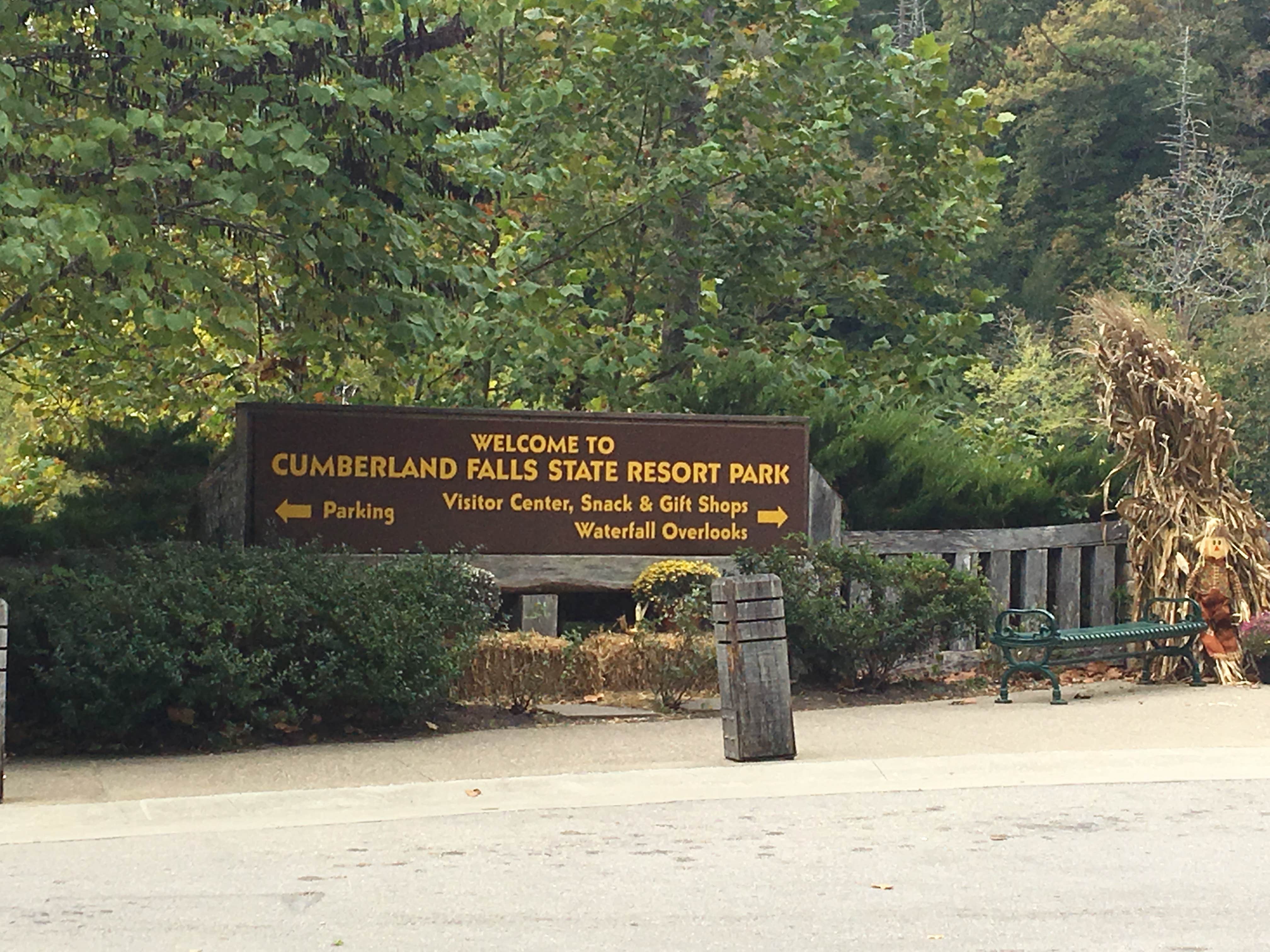 Camper submitted image from Ridgeline Campground — Cumberland Falls State Resort Park - 5
