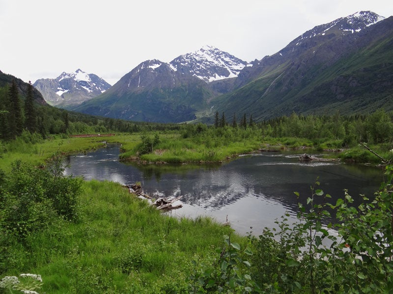 Camper submitted image from Eagle River Campground - Chugach State Park - 2