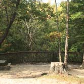 Review photo of Cumberland Falls State Resort Park by Shelly S., October 10, 2016