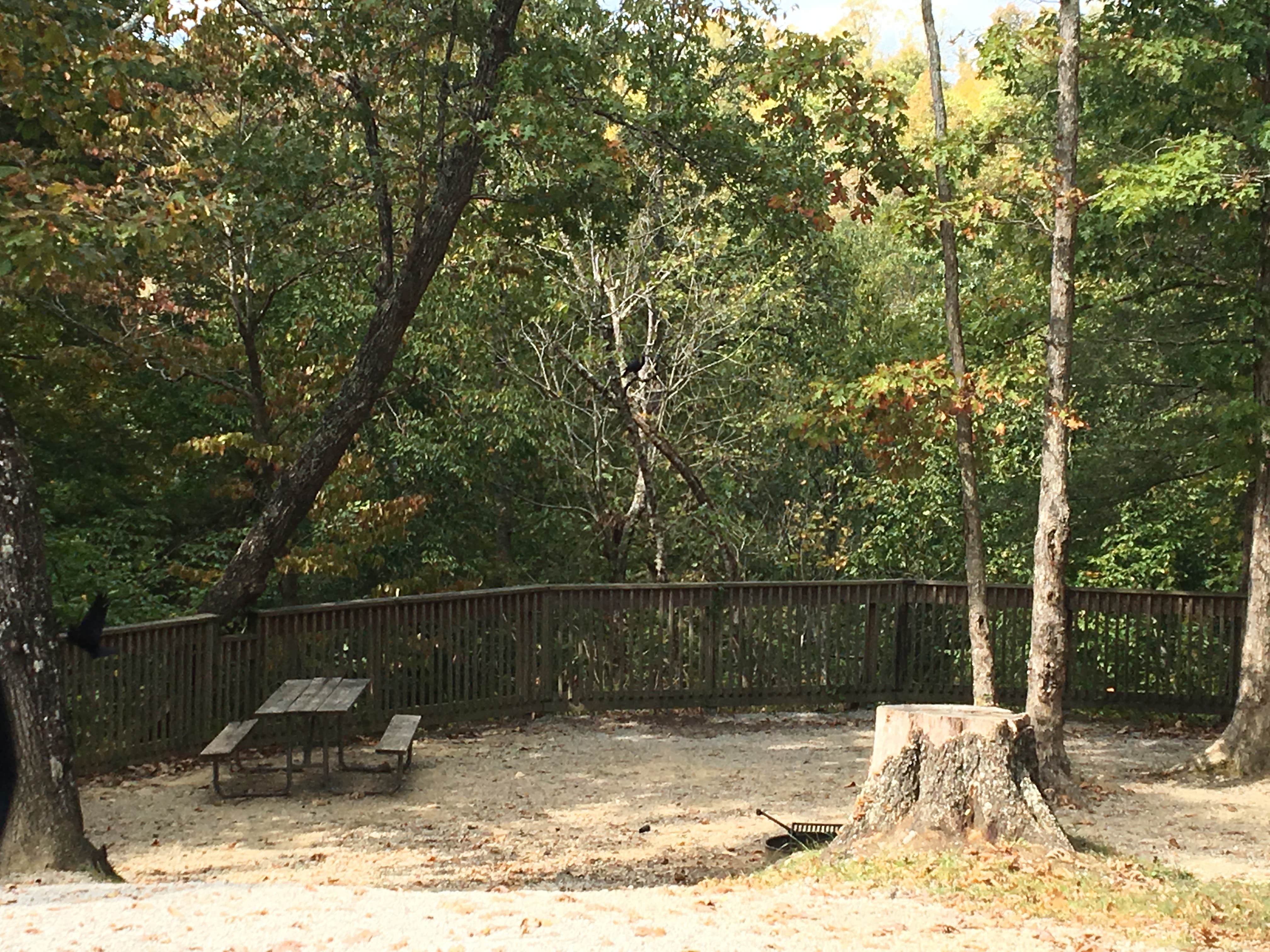 Camper submitted image from Ridgeline Campground — Cumberland Falls State Resort Park - 4