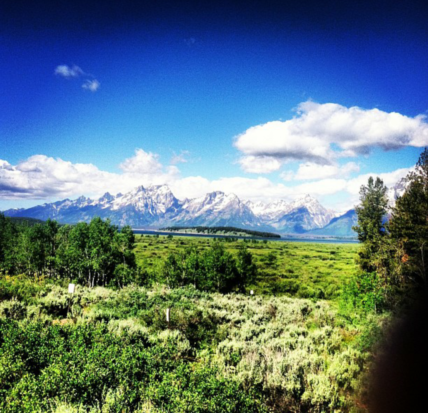 Camper submitted image from Jenny Lake Campground — Grand Teton National Park - 2