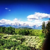 Review photo of Jenny Lake Campground — Grand Teton National Park by michael M., June 14, 2016