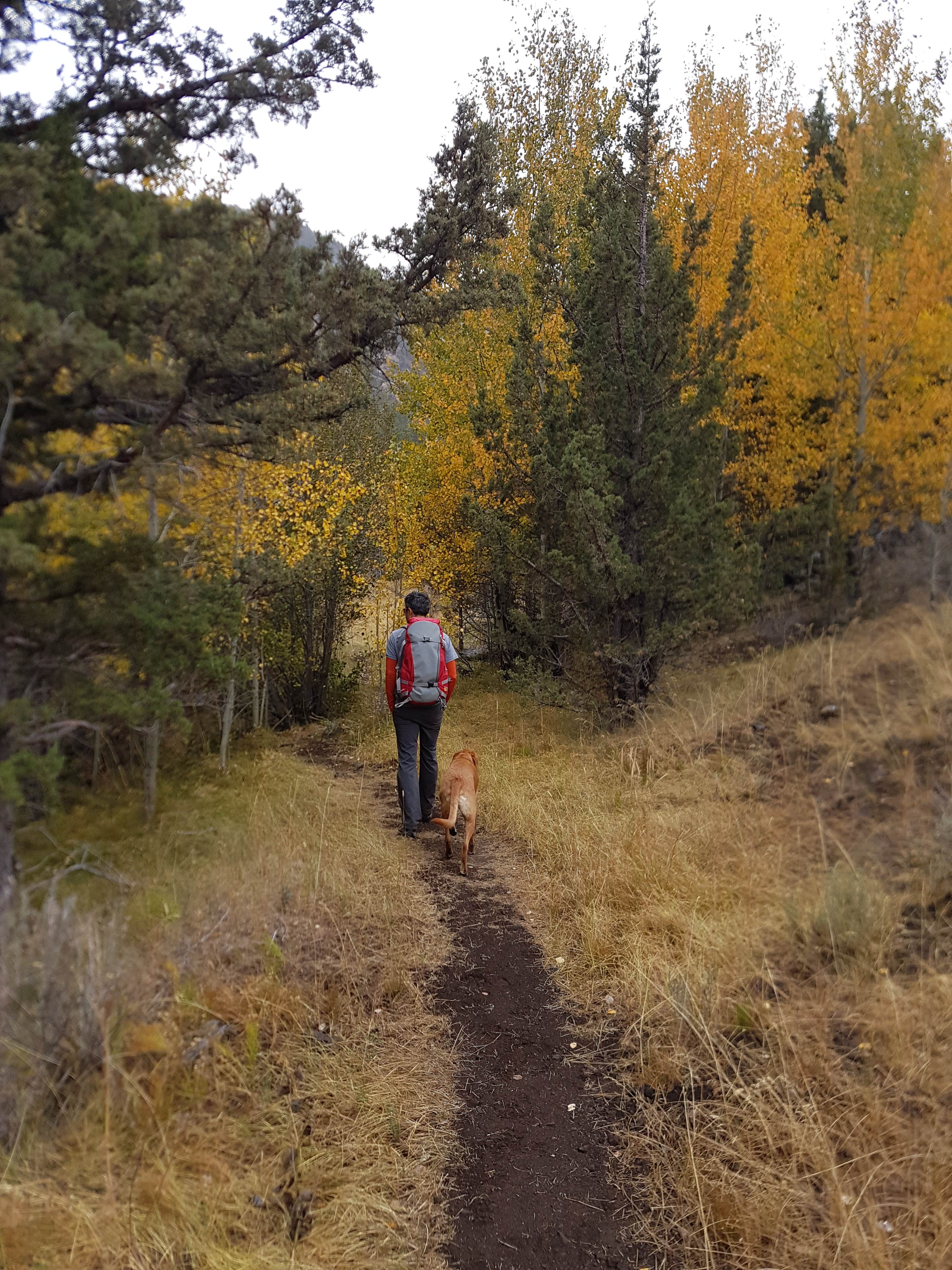 Camper submitted image from South Steens Campground - 2
