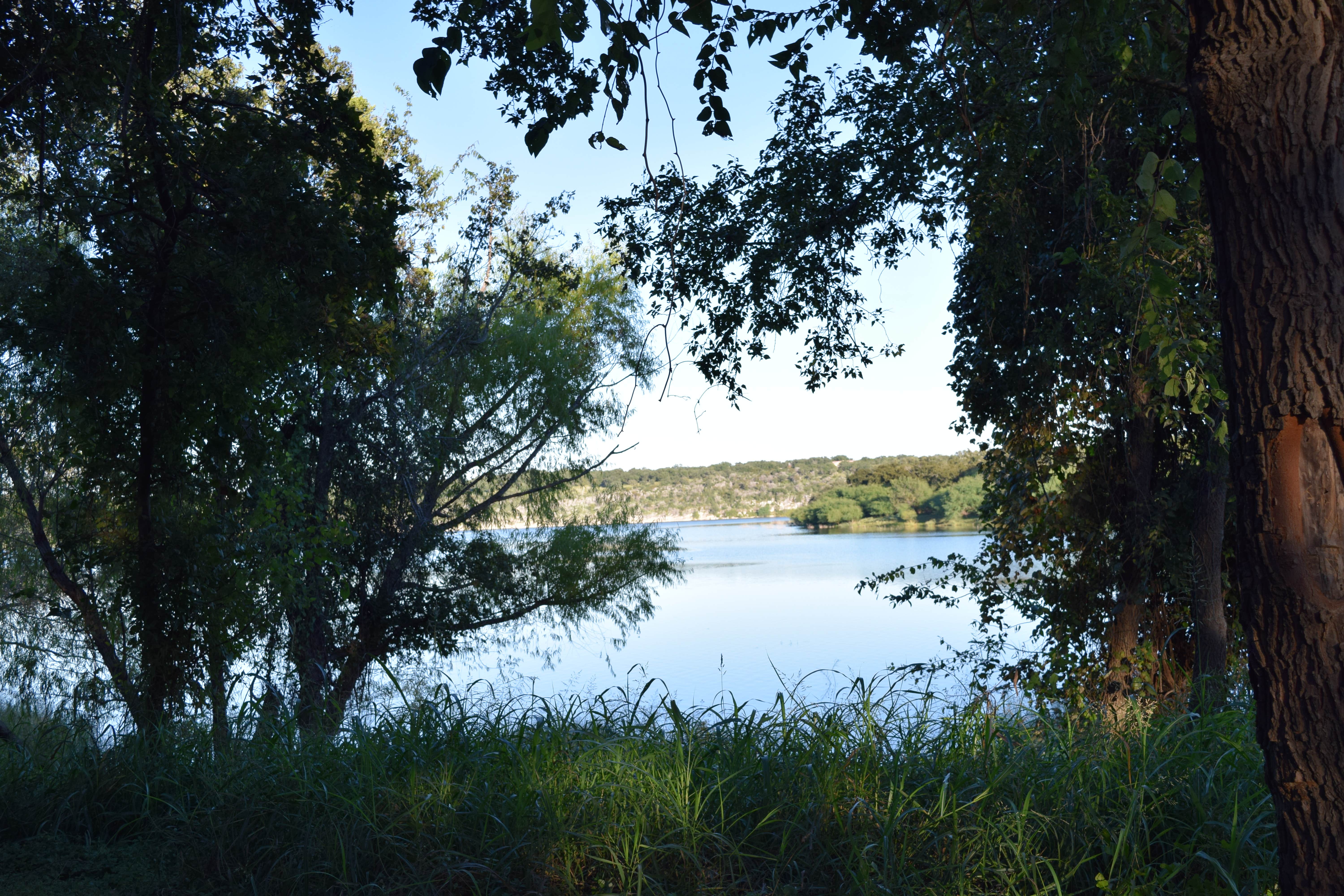 Camper submitted image from Shaffer Bend Recreation Area - 3