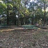 Review photo of Little Creek MWR RV Park by Shelly S., October 11, 2016