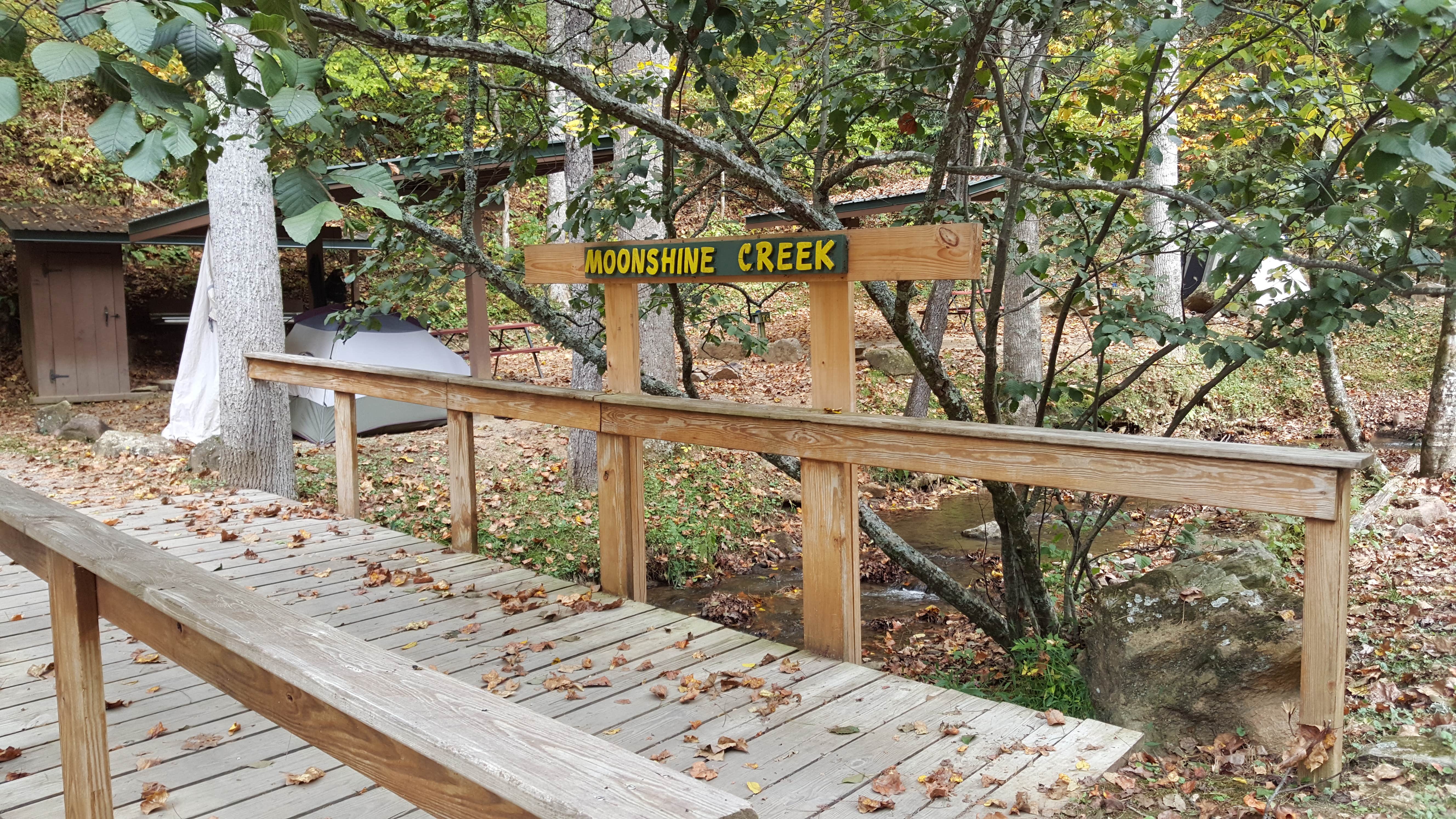 Camper submitted image from Moonshine Creek Campground - 2