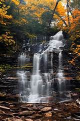 Camper submitted image from Ricketts Glen State Park Campground - 2
