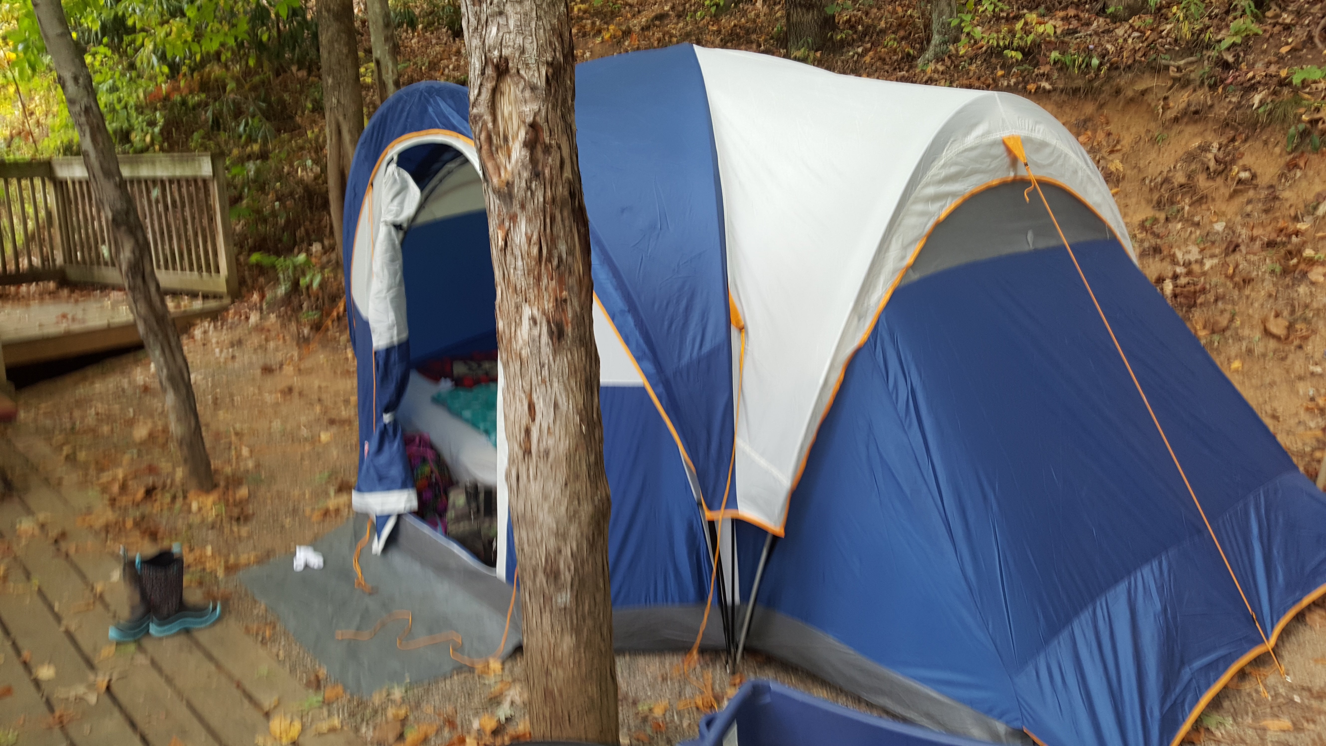 Camper submitted image from Moonshine Creek Campground - 5