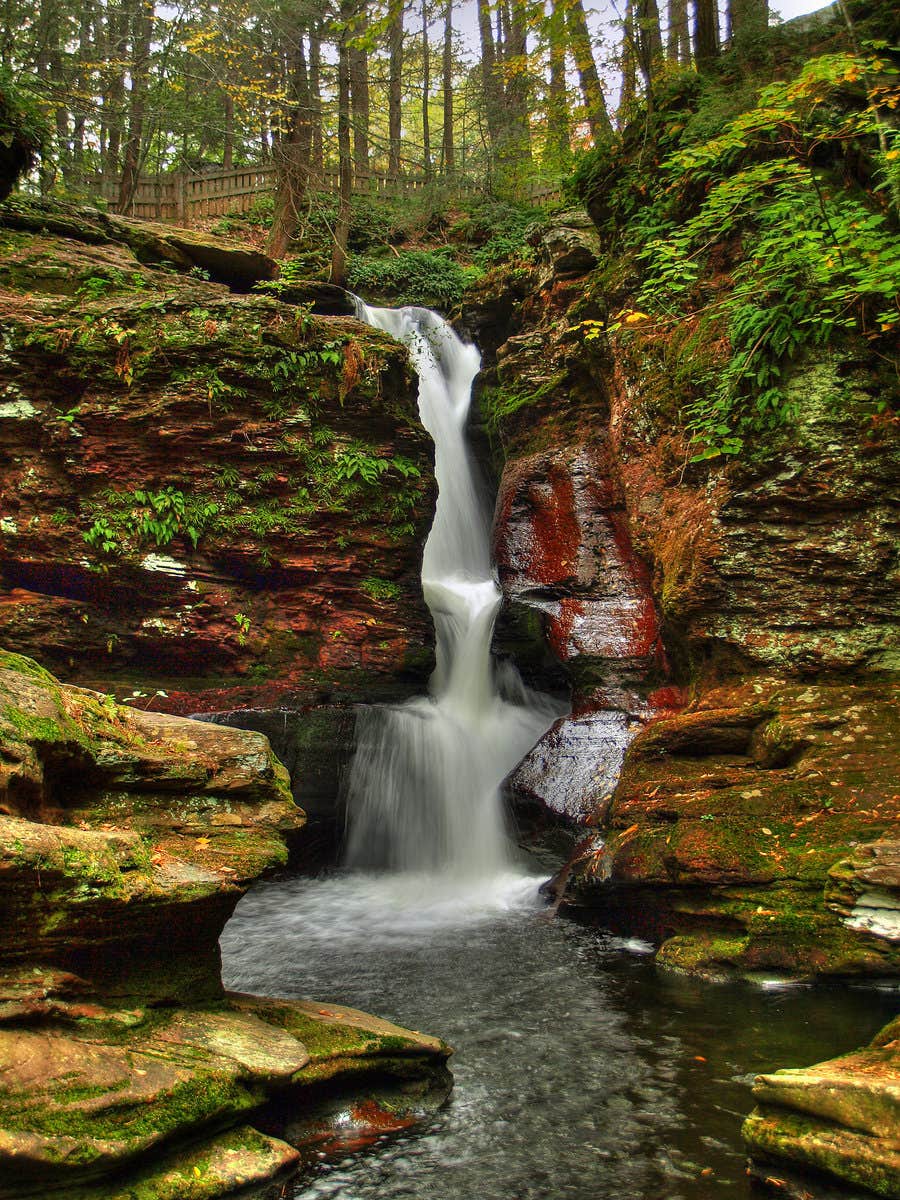 Camper submitted image from Ricketts Glen State Park Campground - 2