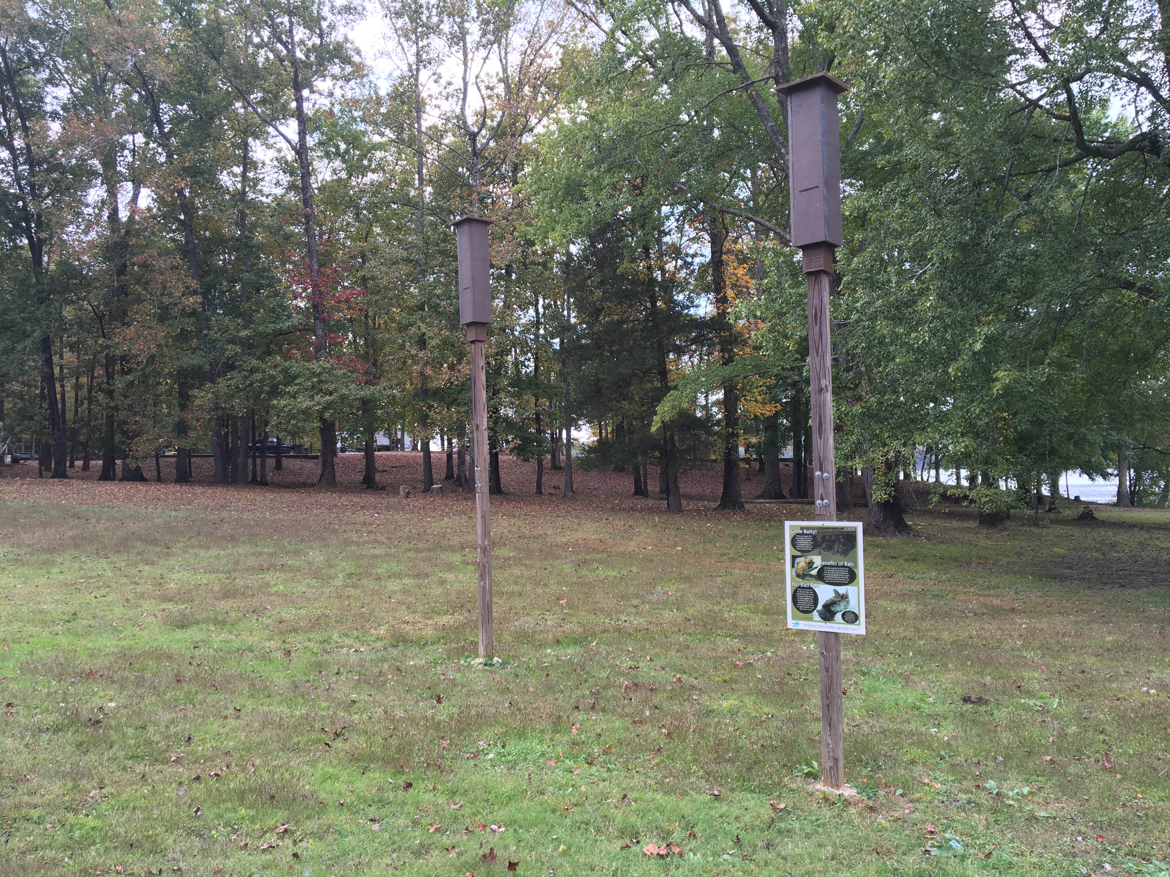 Camper-submitted photo at Energy Lake Campground near Grand Rivers, KY
