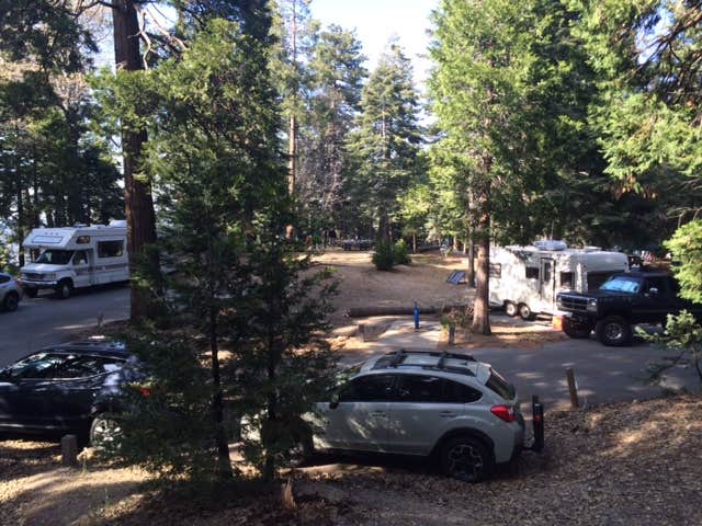 Camper submitted image from Dogwood - 3