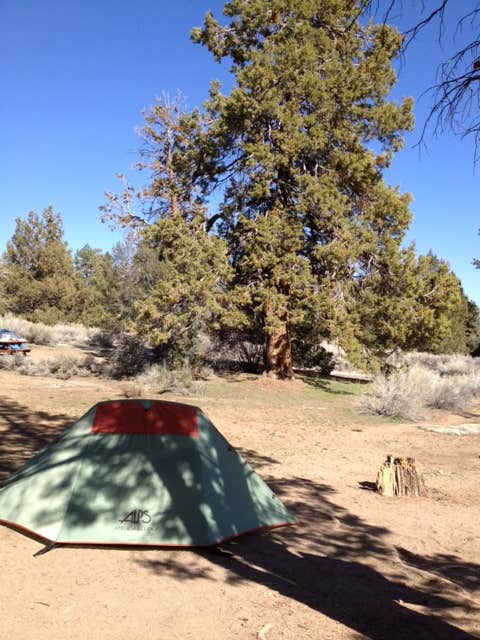 Heidi H.'s photo at Serrano near Fawnskin, CA