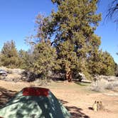 Review photo of Serrano by Heidi H., October 18, 2016