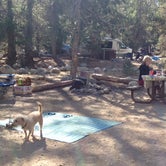 Review photo of Lodgepole Campground by Heidi H., October 18, 2016