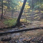Review photo of Manistee River Bridge Campground by Christian V., October 18, 2016