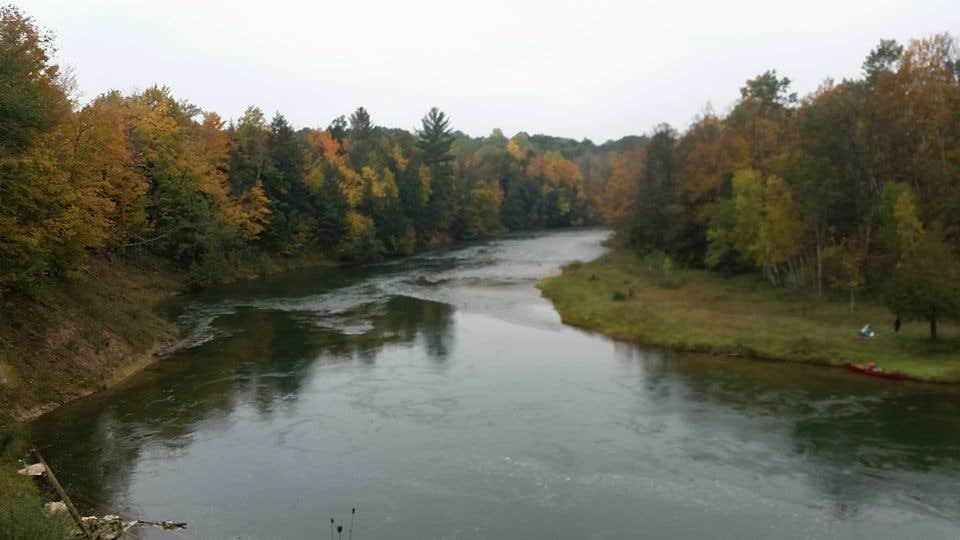 Camper submitted image from Manistee River Bridge Campground - 4