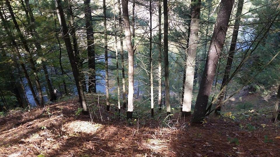 Camper-submitted photo at Manistee River Bridge Campground near Grayling, MI